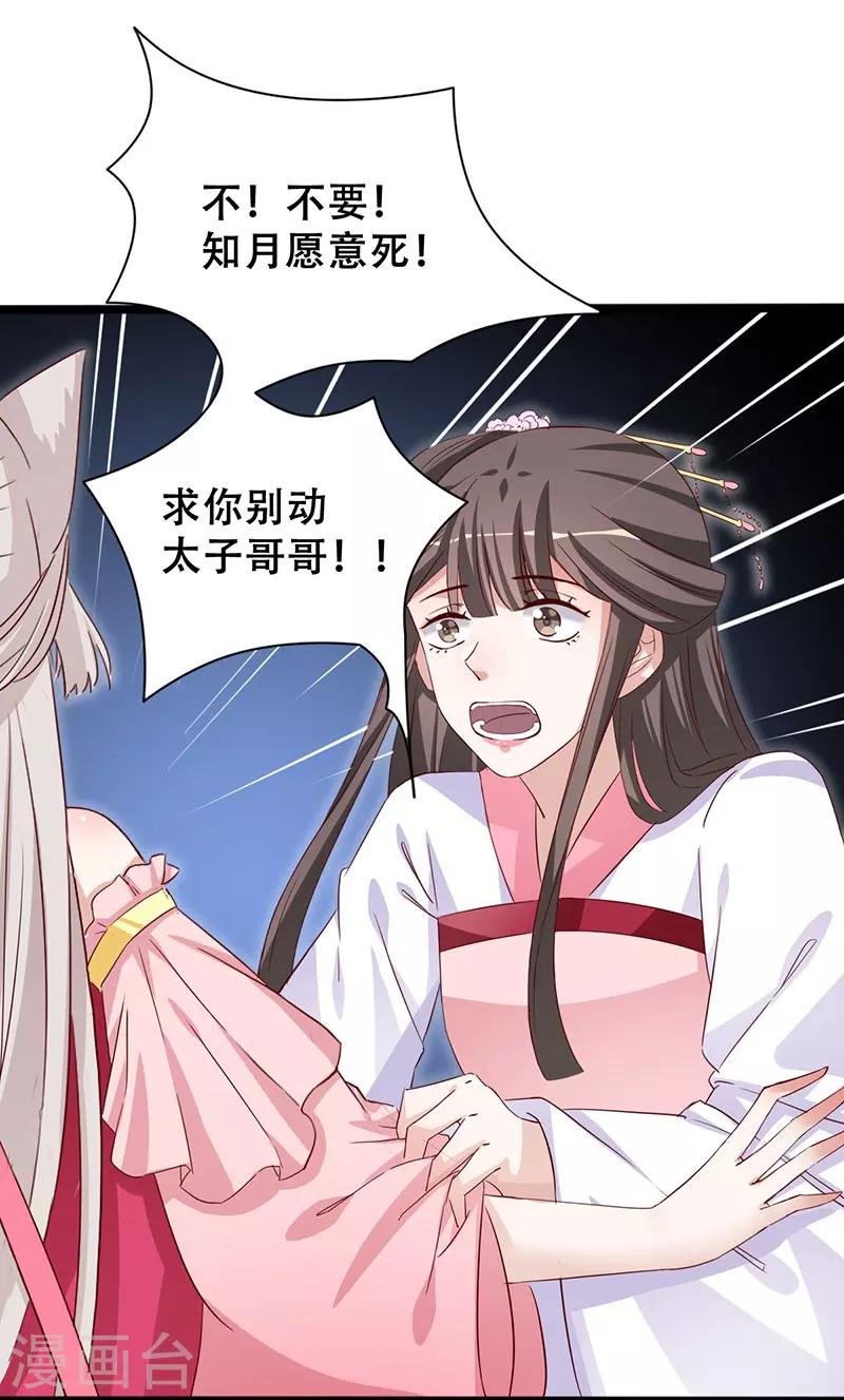 第99话 凭你也敢碰我5
