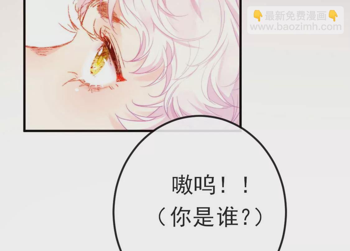 第7话 消失的龙灵11