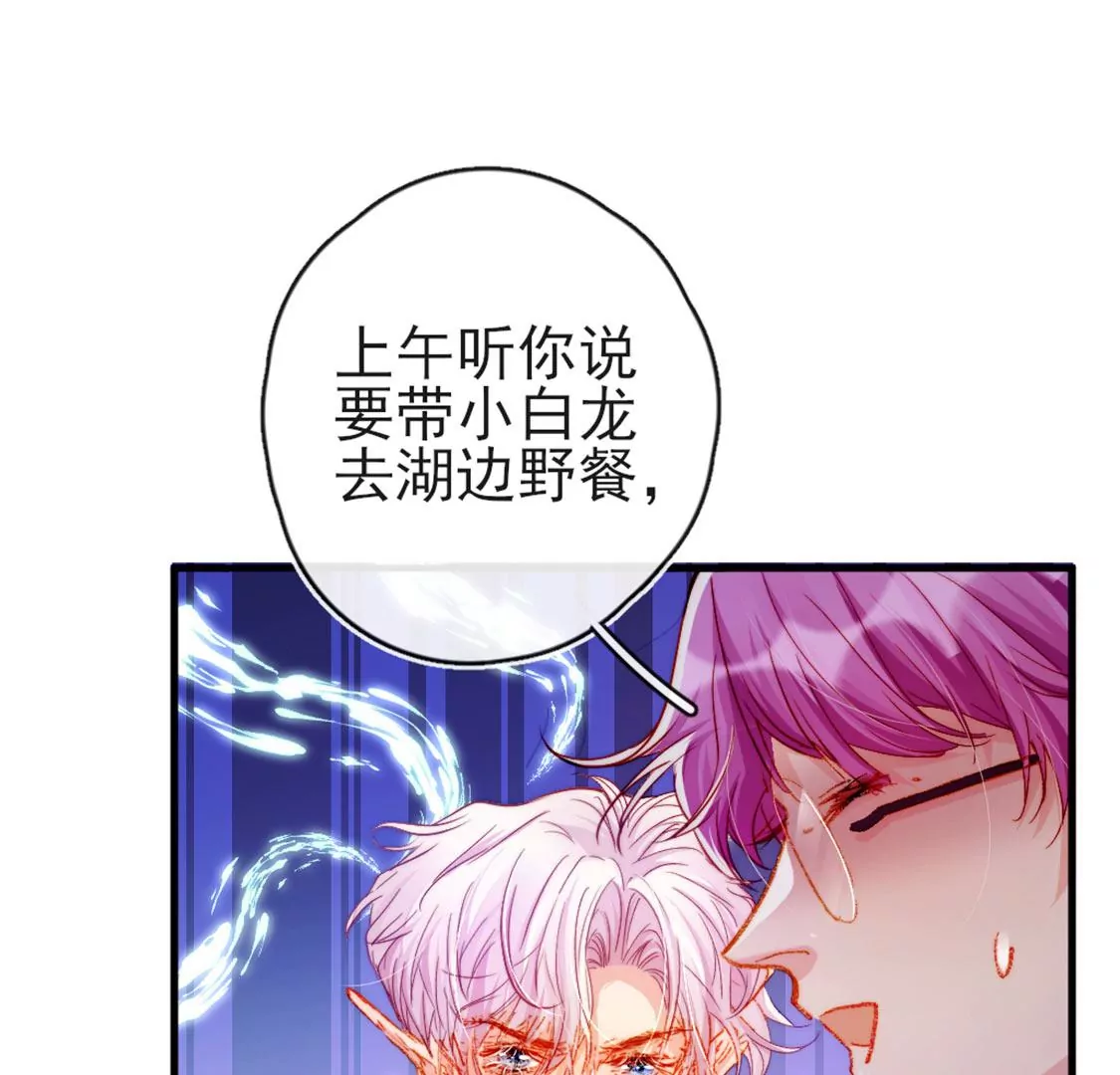 第30话 带小白去野餐21
