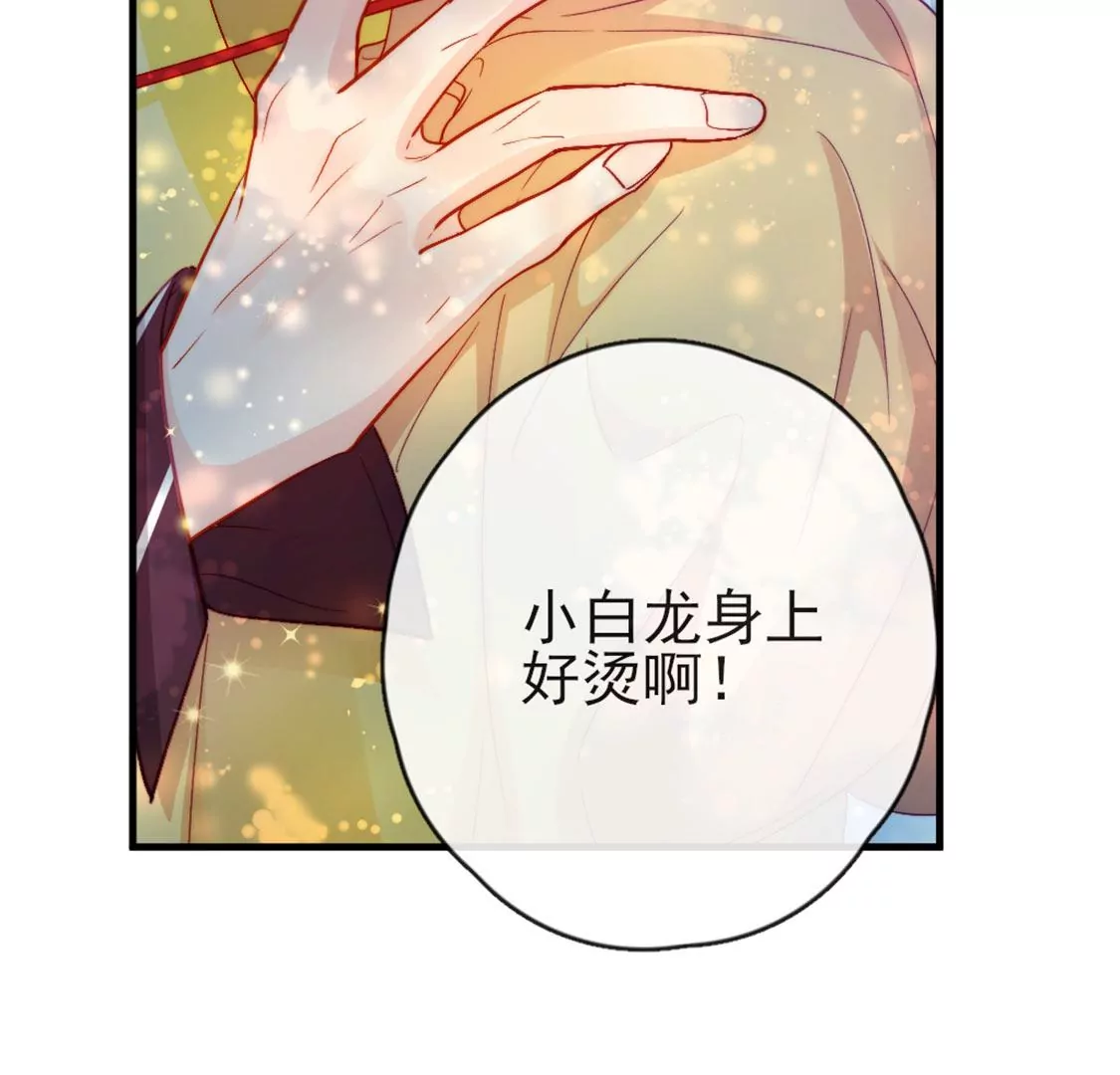 第30话 带小白去野餐57