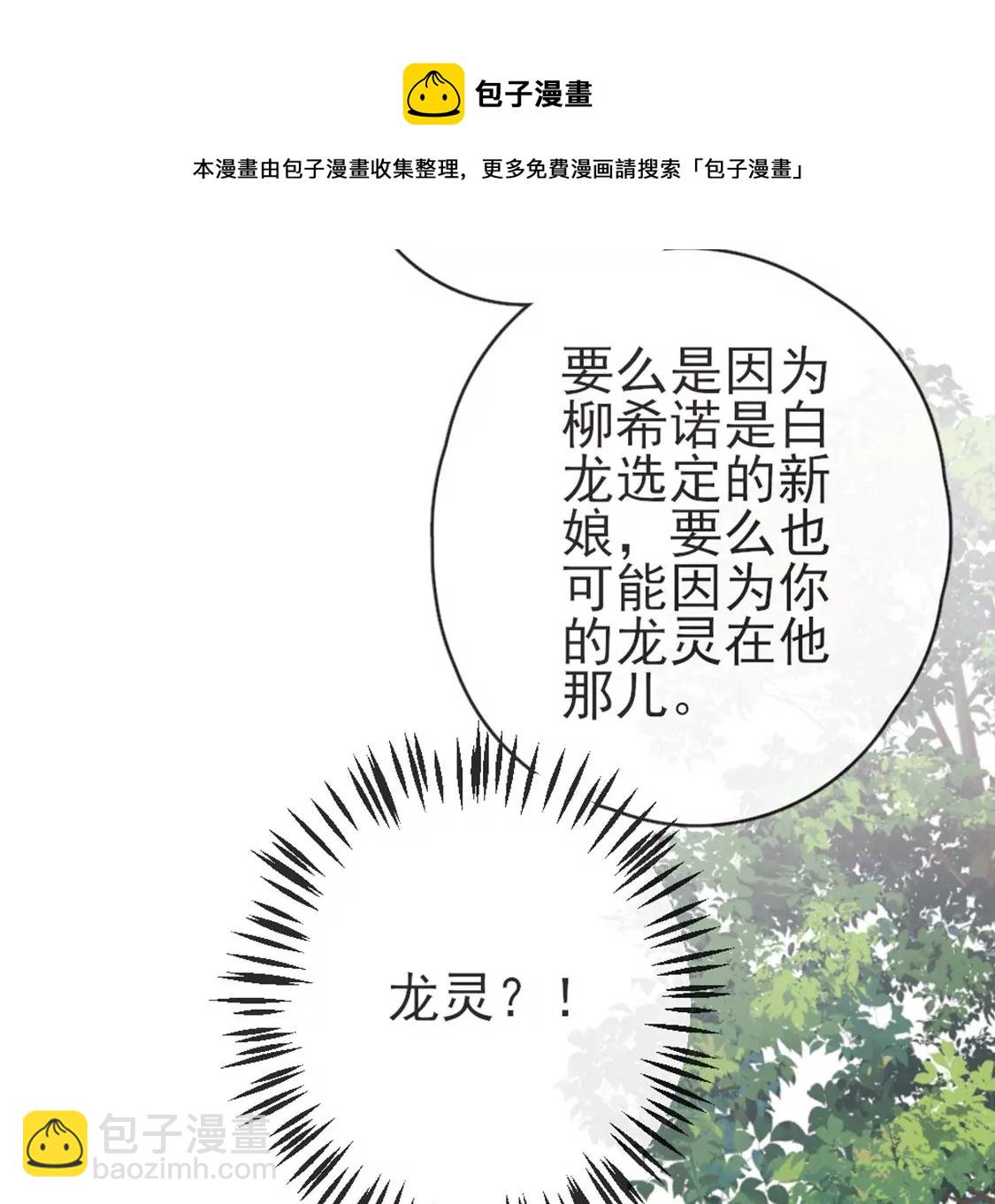 第31话 先王为你选的新娘28