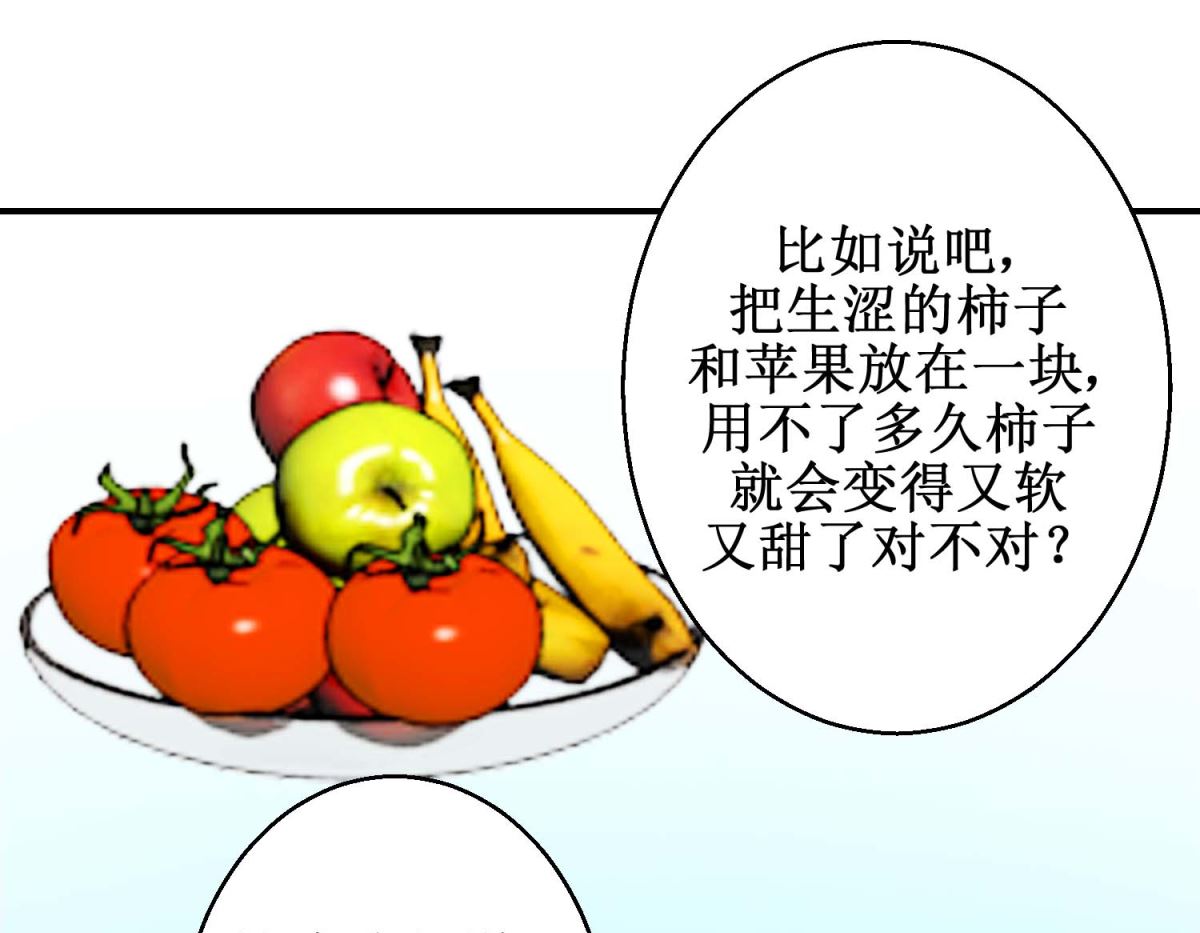 第74话 催熟剂22