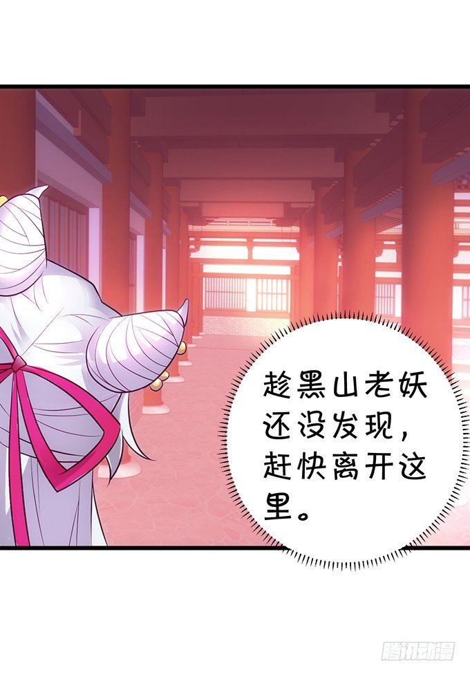 小倩出逃！宁琛霸气追妻！40