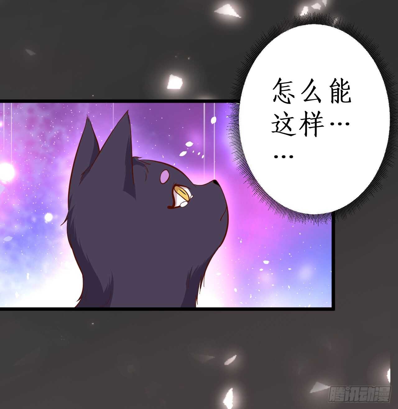 小猫咪！需要我帮忙吗！16
