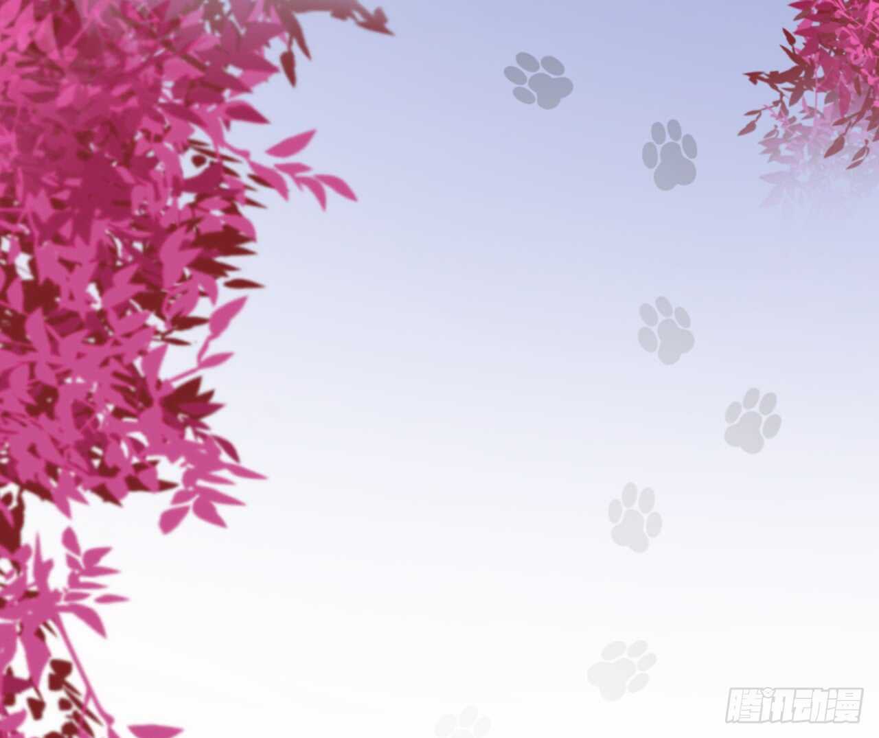 小猫咪！需要我帮忙吗！25