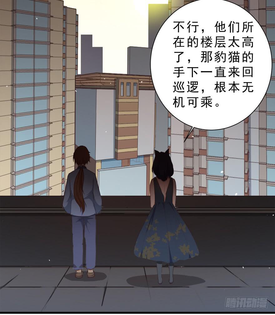 026殿下请别讨厌我49