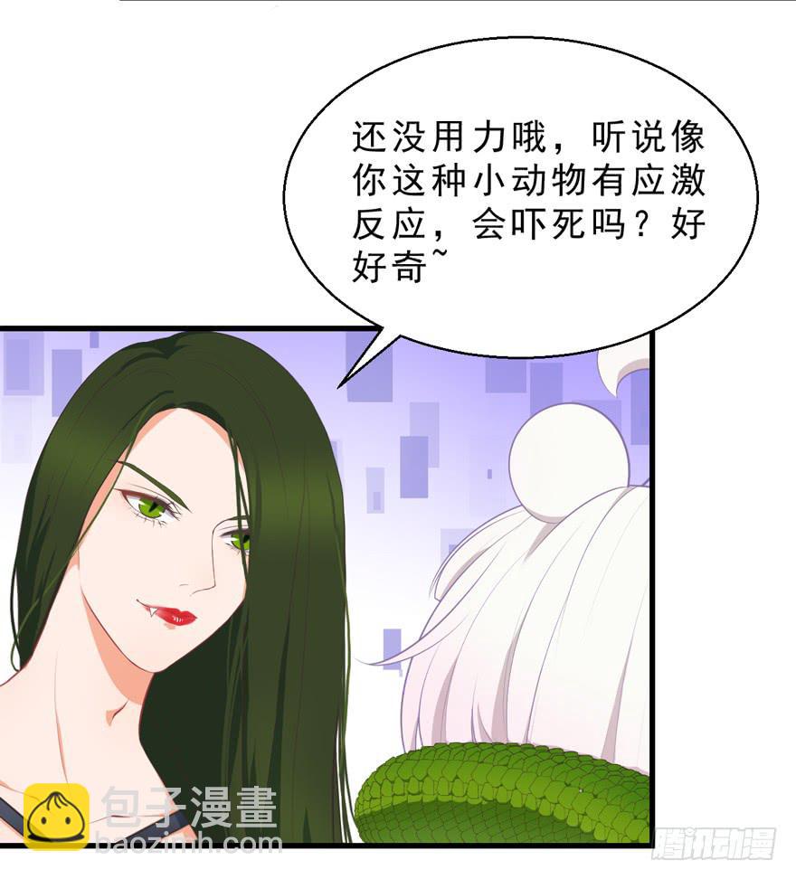 050蛇毒3