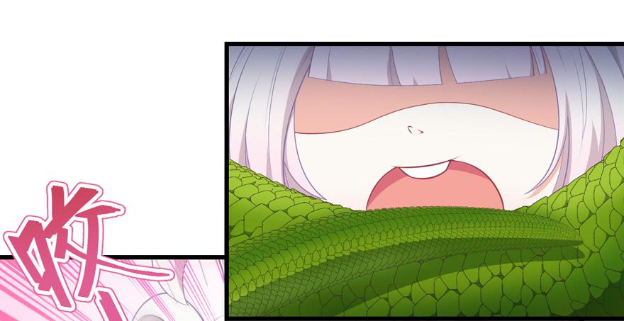 050蛇毒8