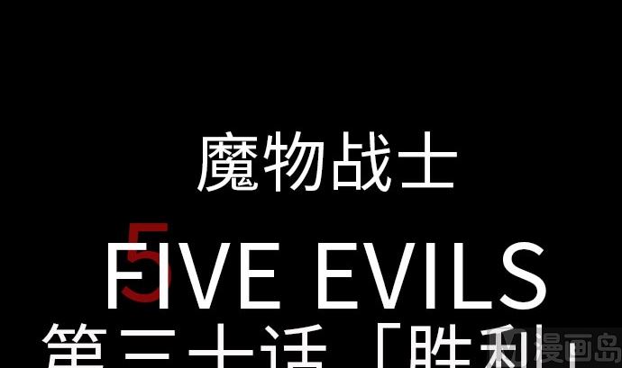 第30话 胜利11