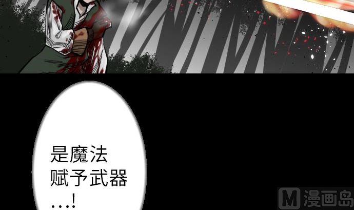 第30话 胜利29