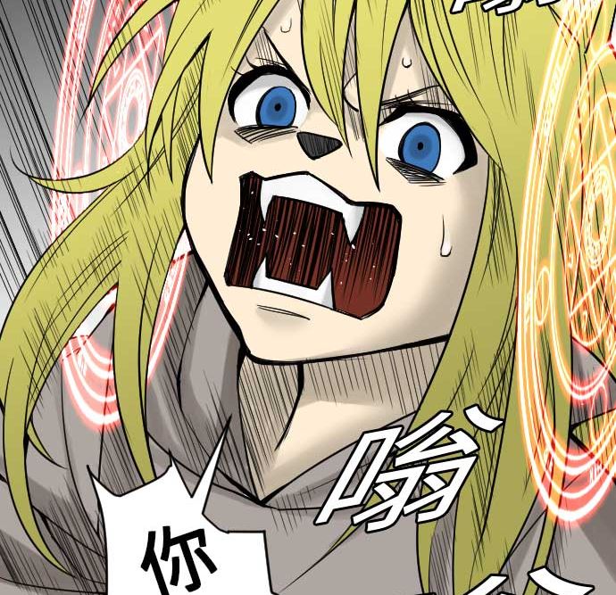 第54话 文森莎蒂隆114