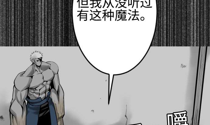 第119话 王的魔法10