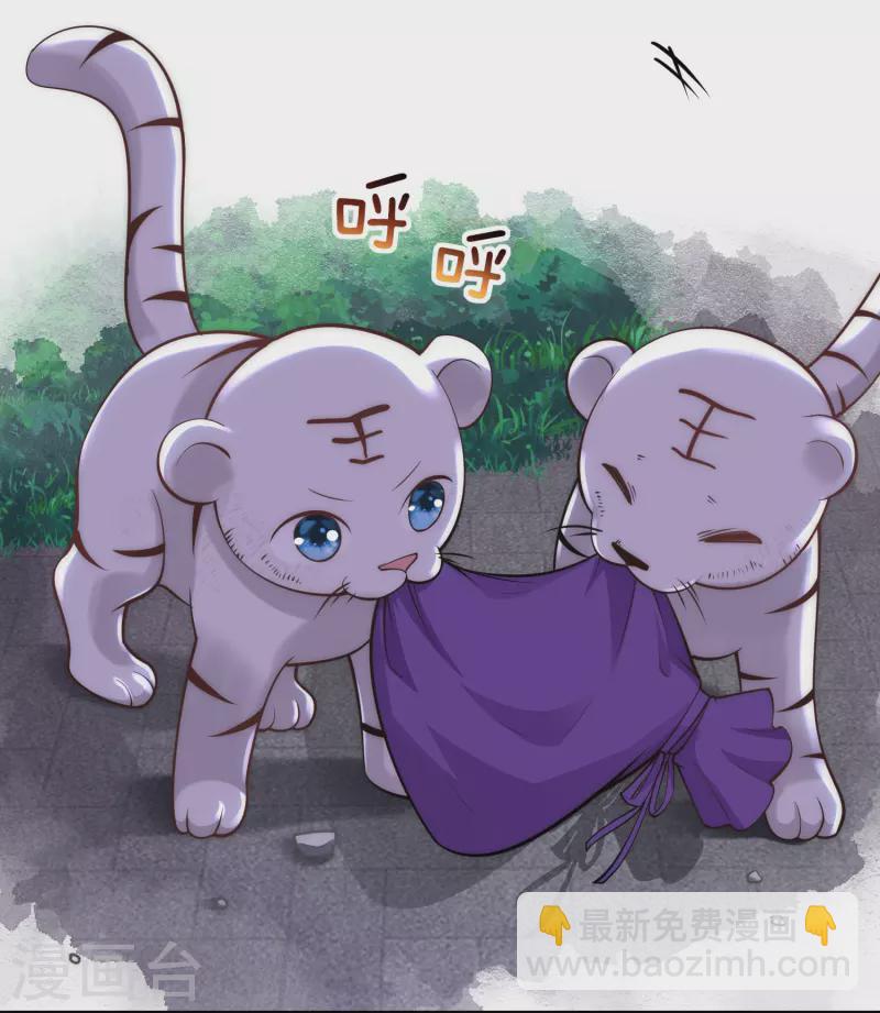 第33话 助攻神宠5