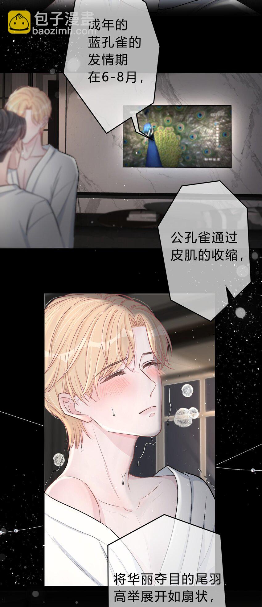 028 我的小公孔雀发情了？31
