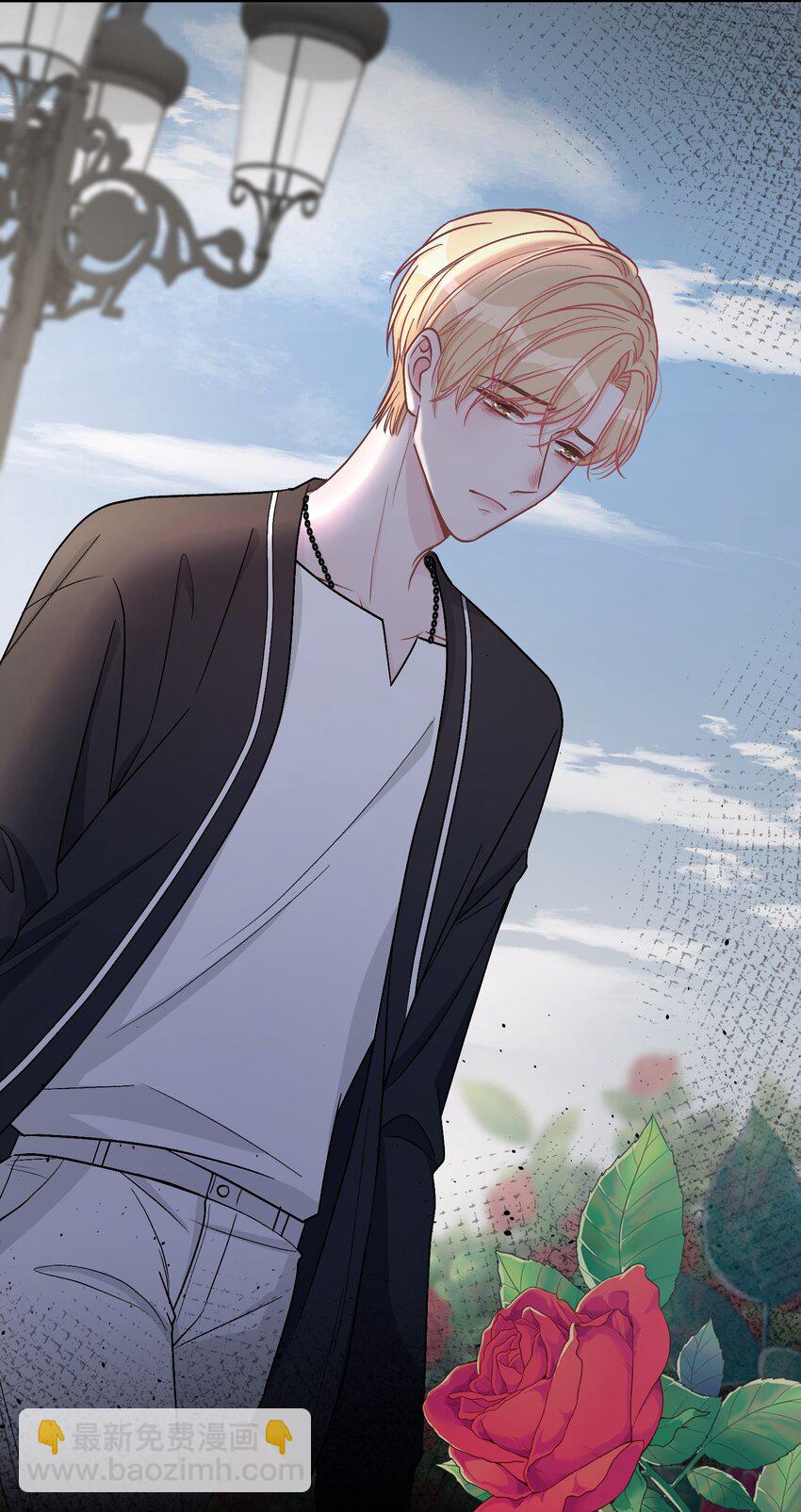 042 苏言，你能帮我吗？12