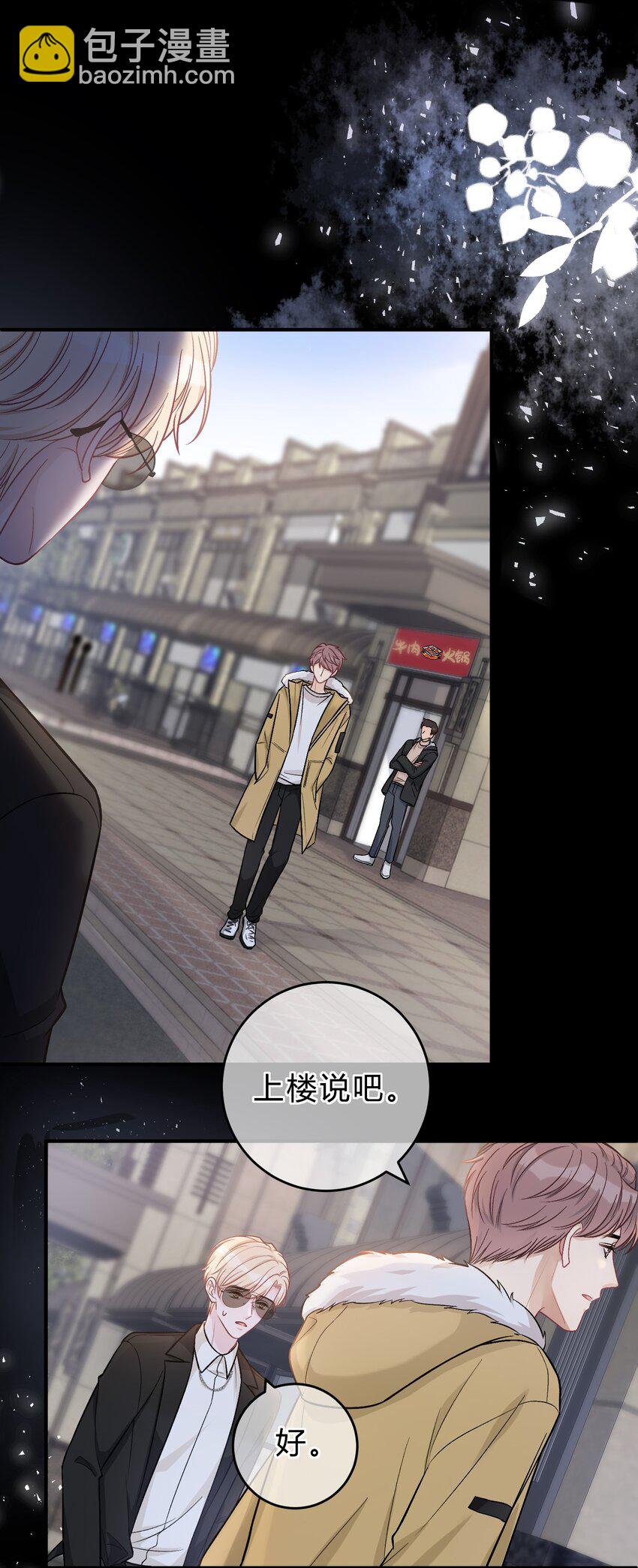 076 为了苏言，我什么都可以做！5