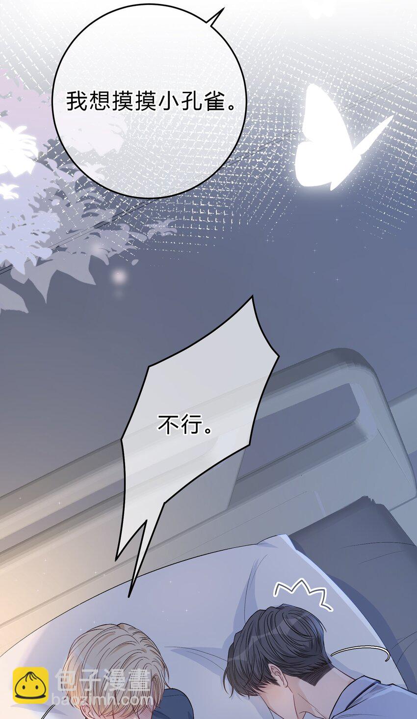 085 番外·我想摸摸小孔雀22