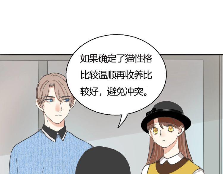 第38话 般配的我们14