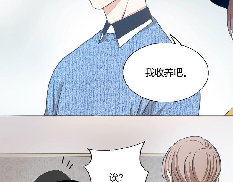第38话 般配的我们17
