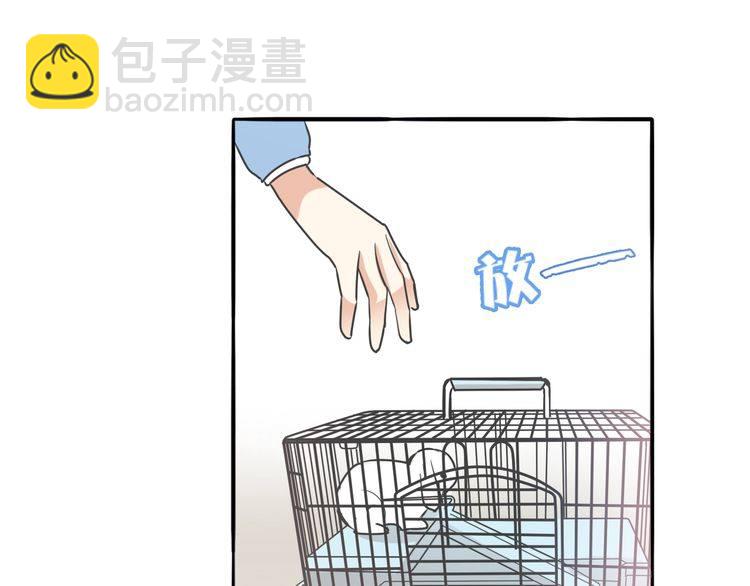 第38话 般配的我们33