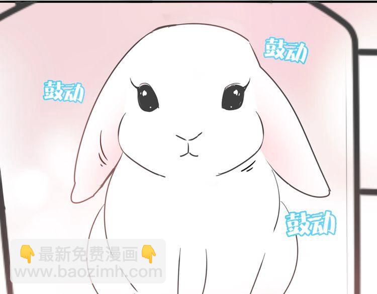 第38话 般配的我们51