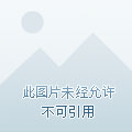 水映琴溪旧浪春61