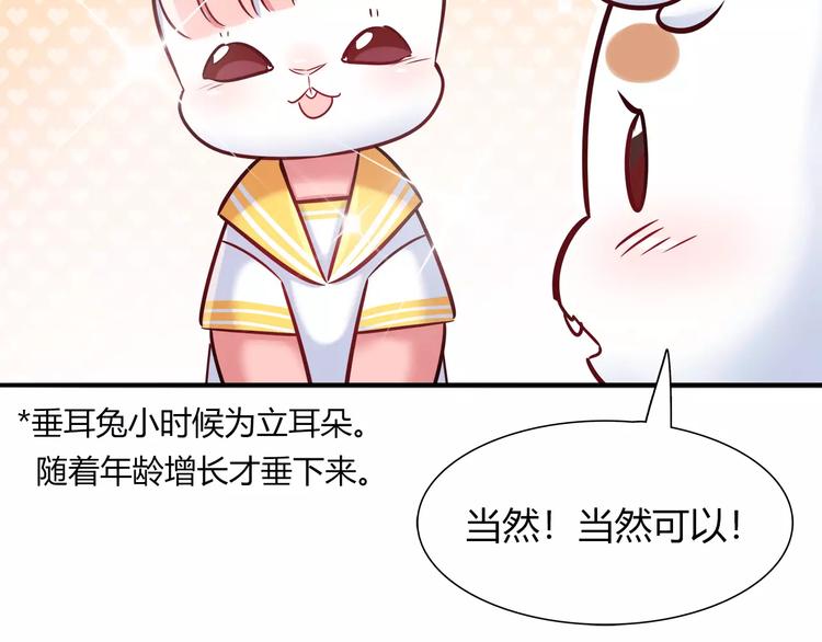 第34话 兔子明星37