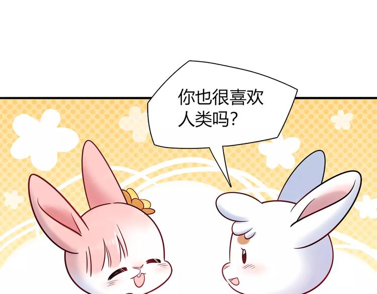 第34话 兔子明星39