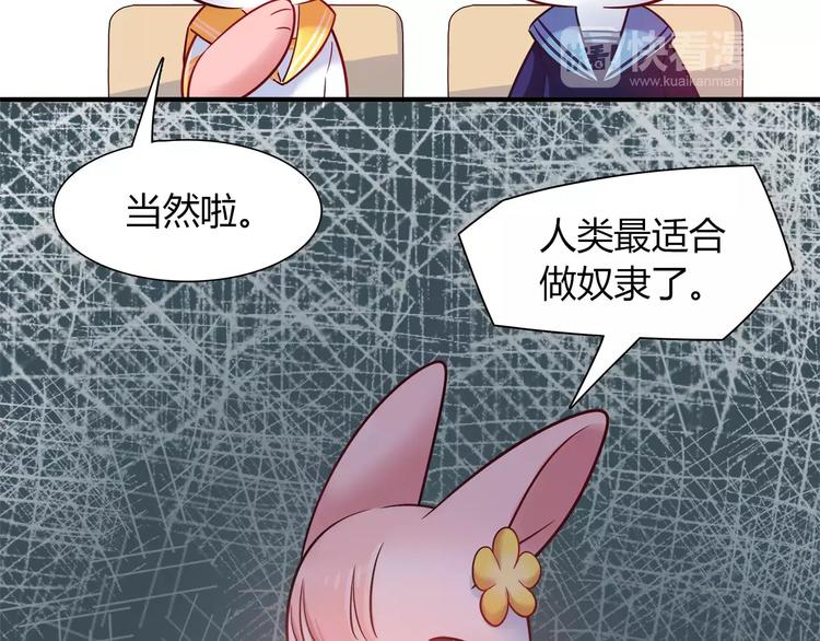 第34话 兔子明星40