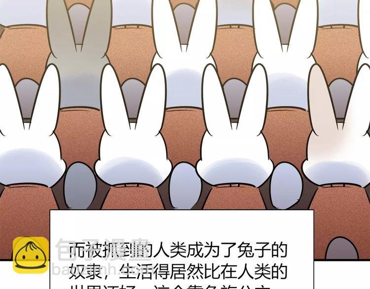 第45话 兔子与人类的故事16