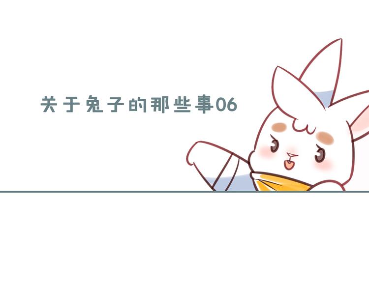 特别篇 关于兔子的那些事060
