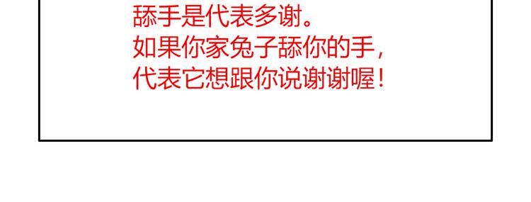 特别篇 关于兔子的那些事068