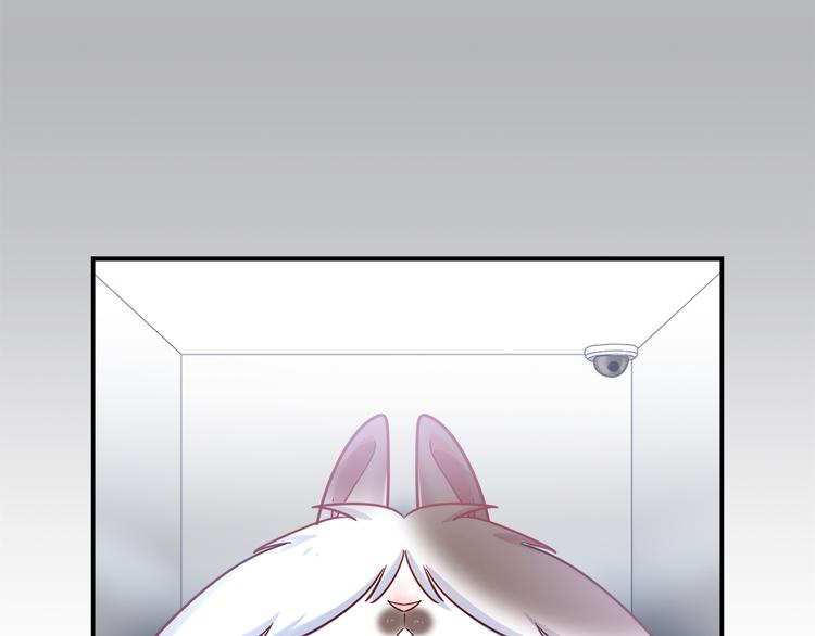 第79话 按你说的去做吧5