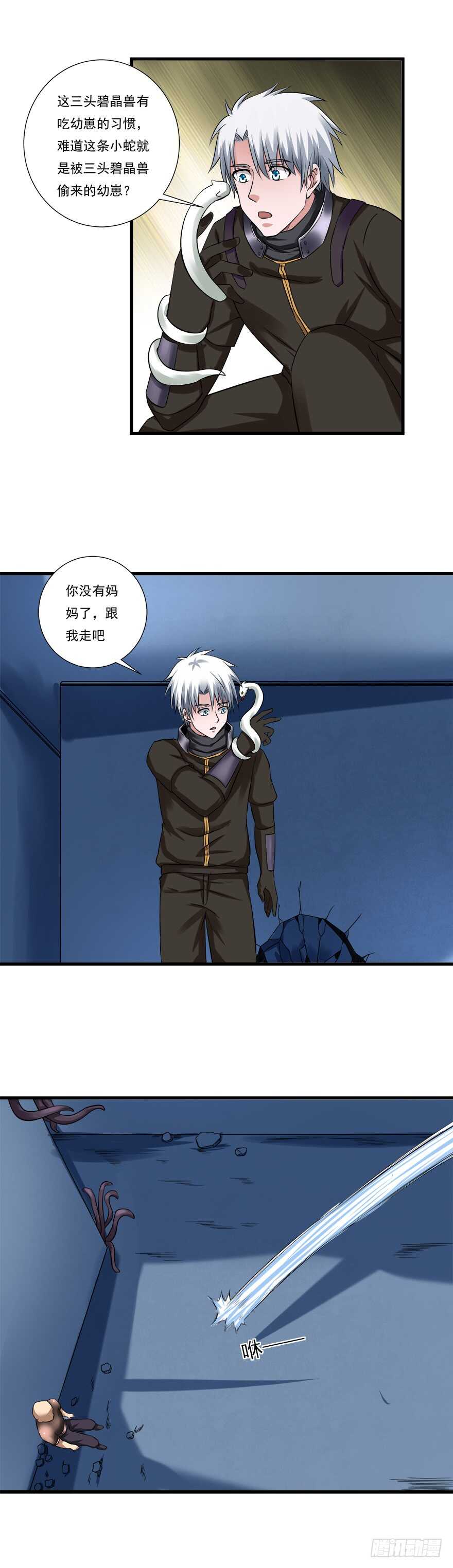 第56话 这是谁的崽？17