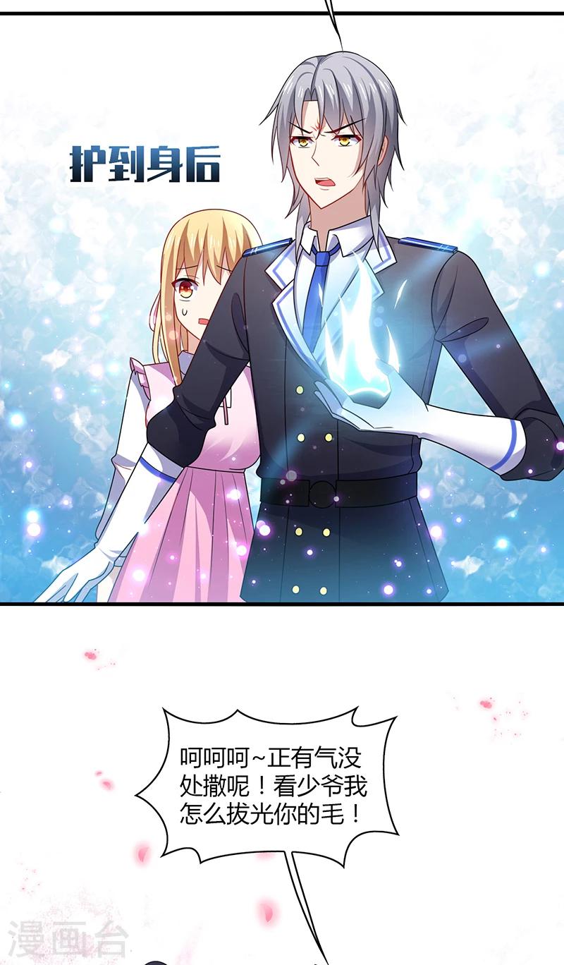 第3话 放手！看我拔光你的毛？10