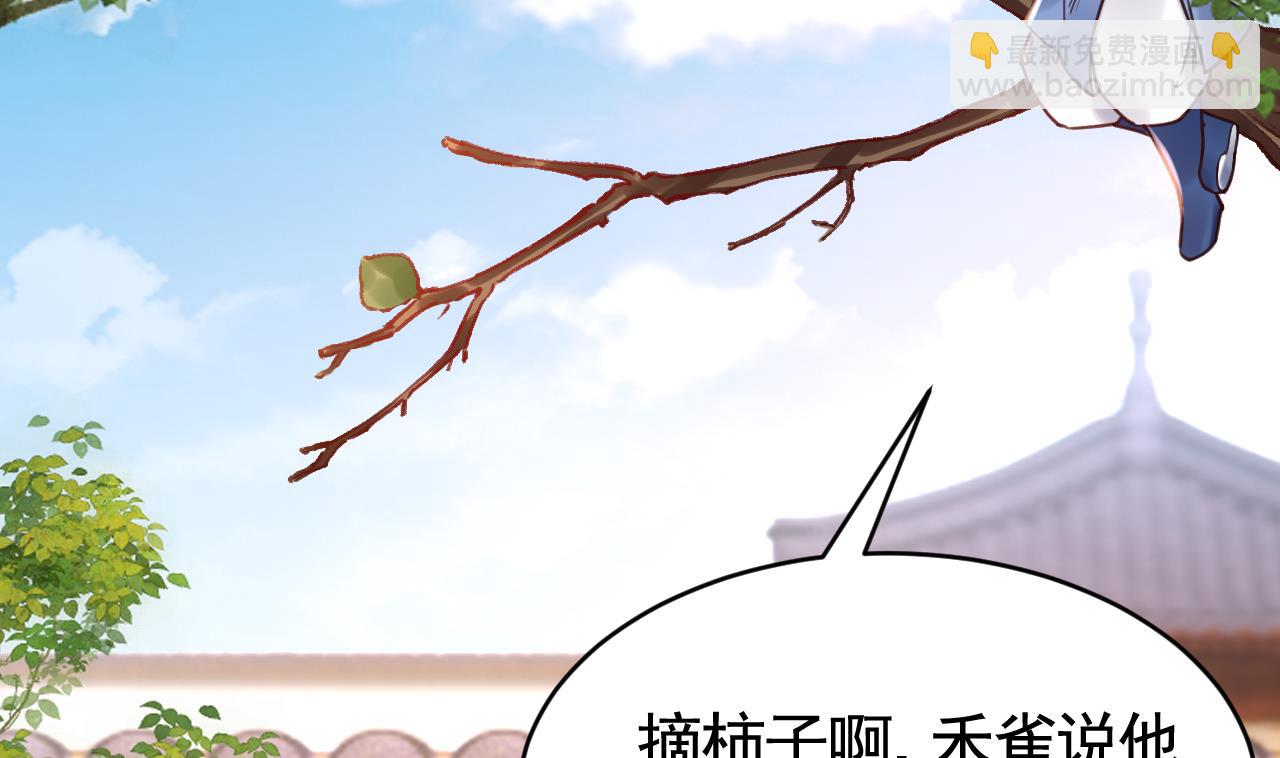 春节特辑246