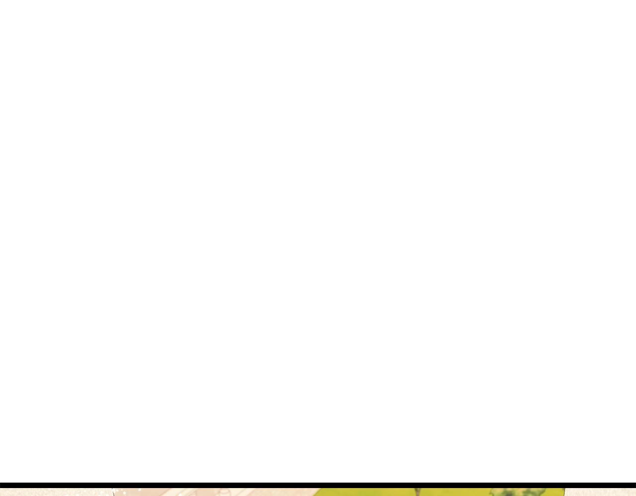 第33话 茶会185