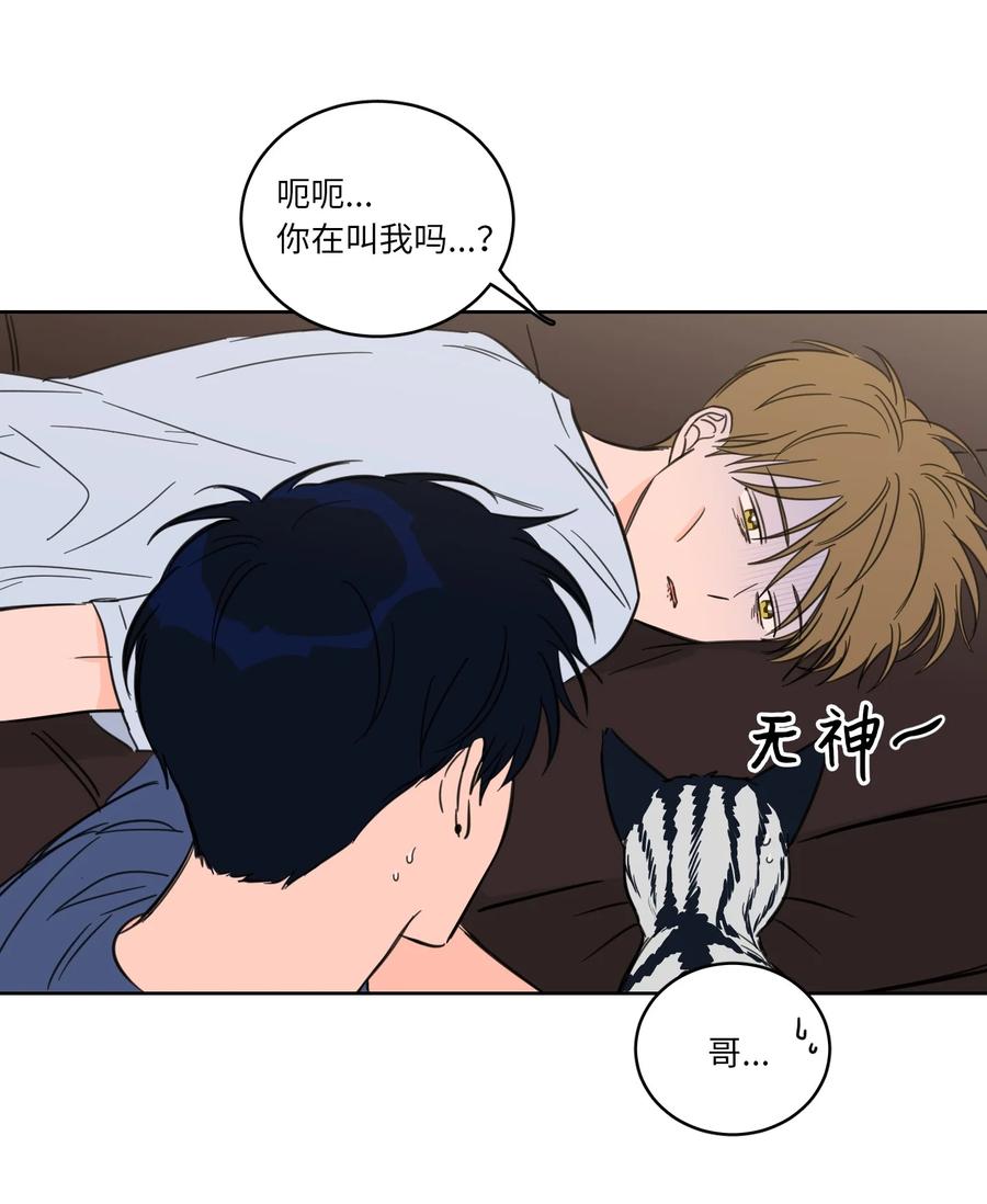 43 未知来电5