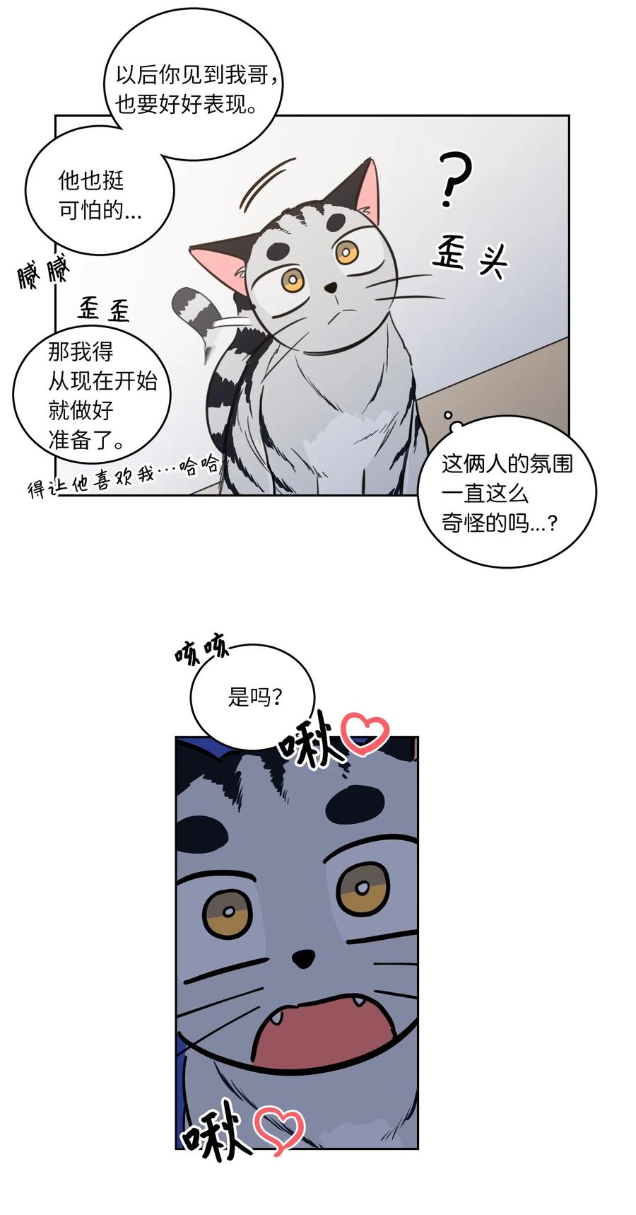 43 未知来电7