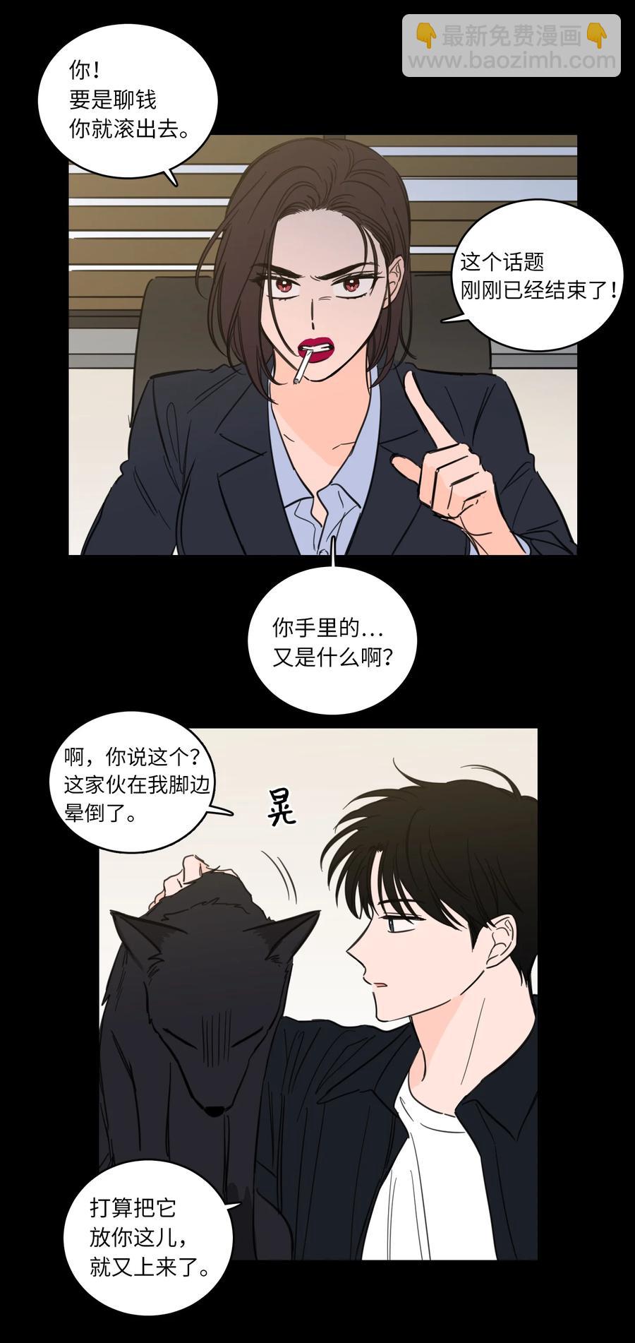 49 狐狸11