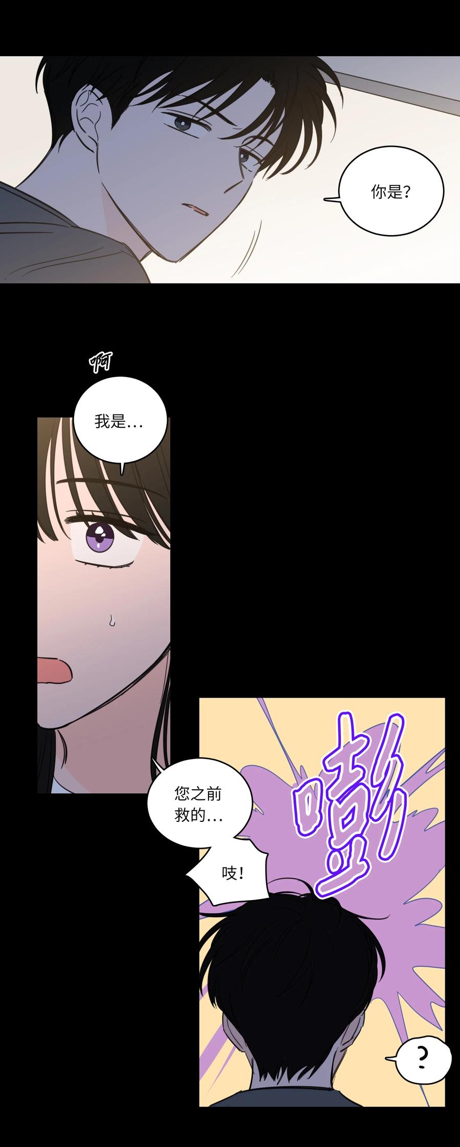 49 狐狸17