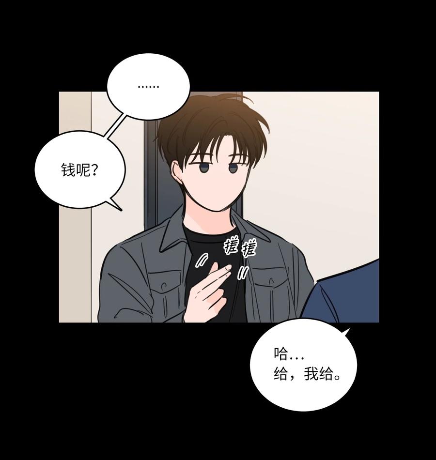 49 狐狸19