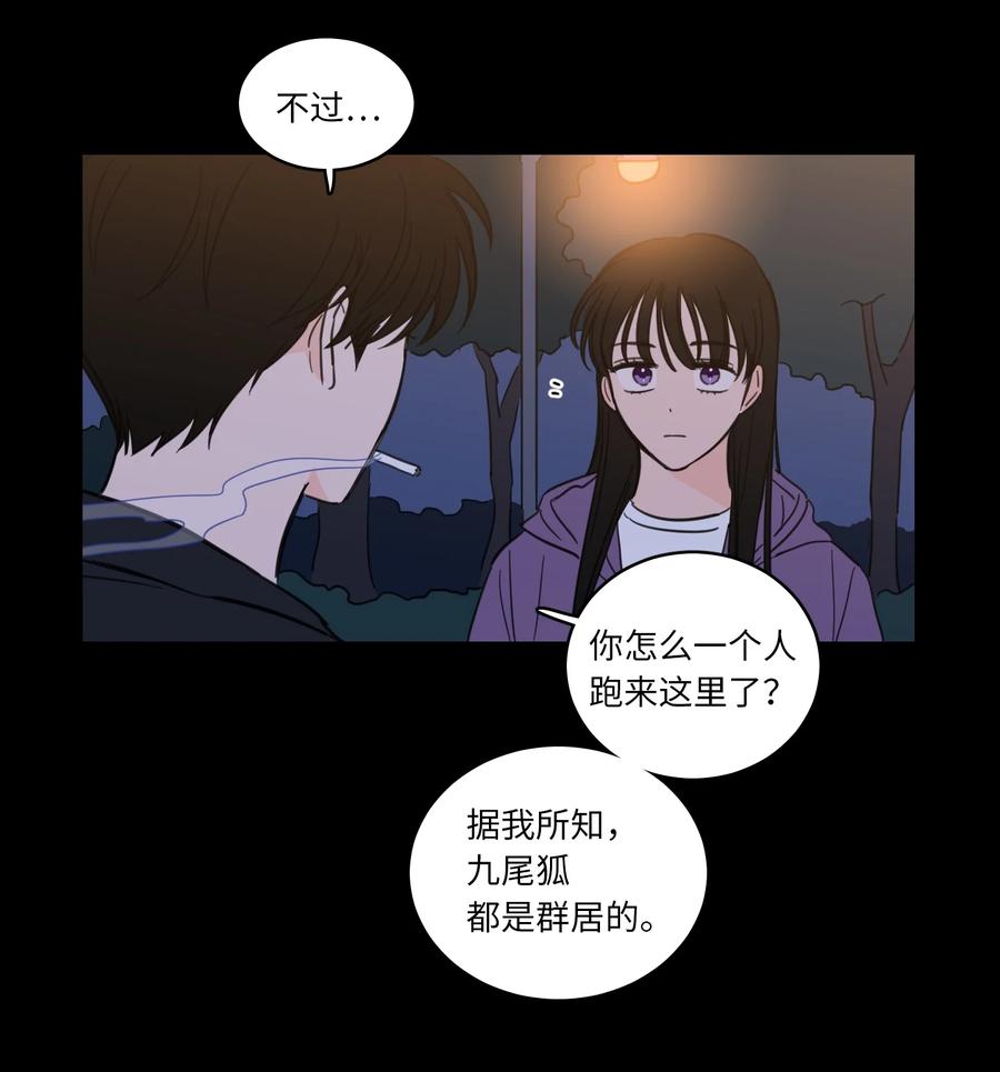 49 狐狸21