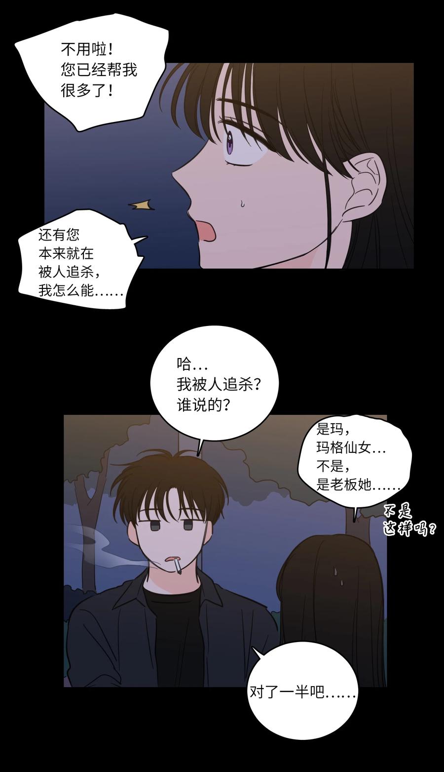 49 狐狸26