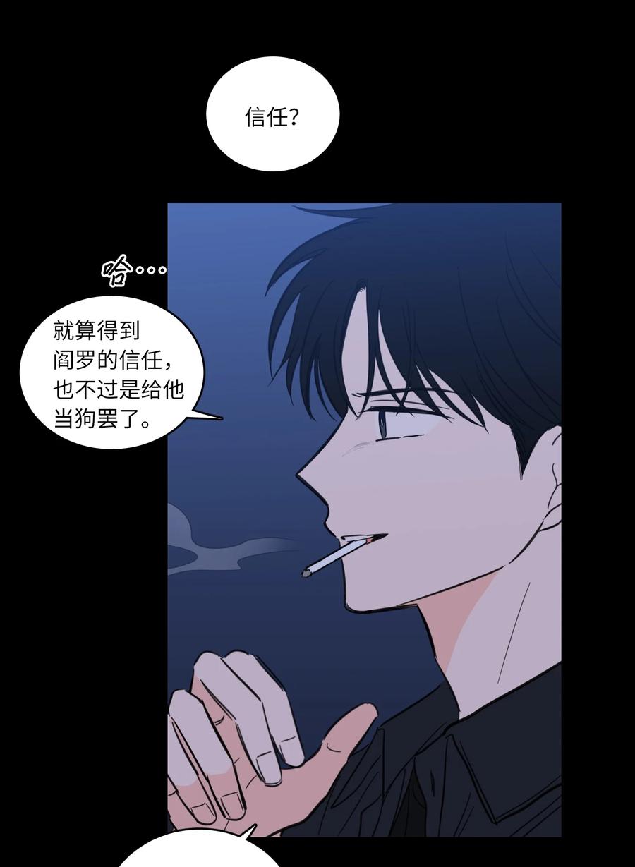 49 狐狸29