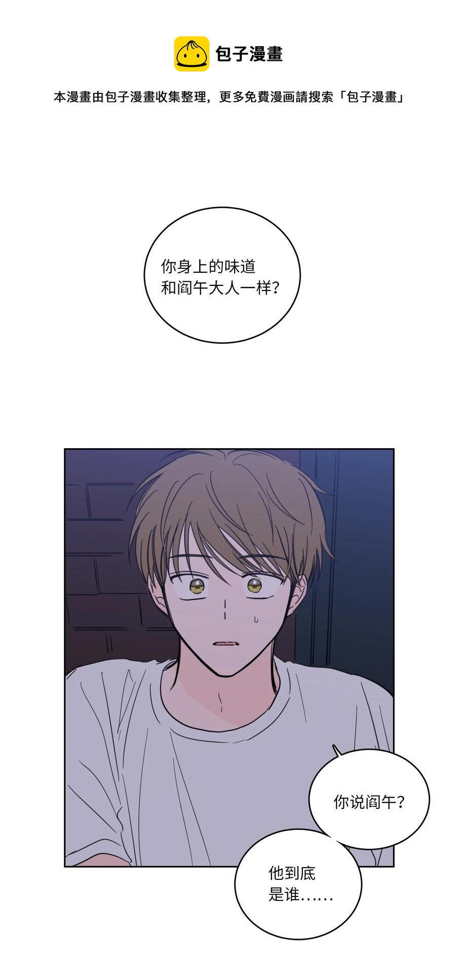 49 狐狸4