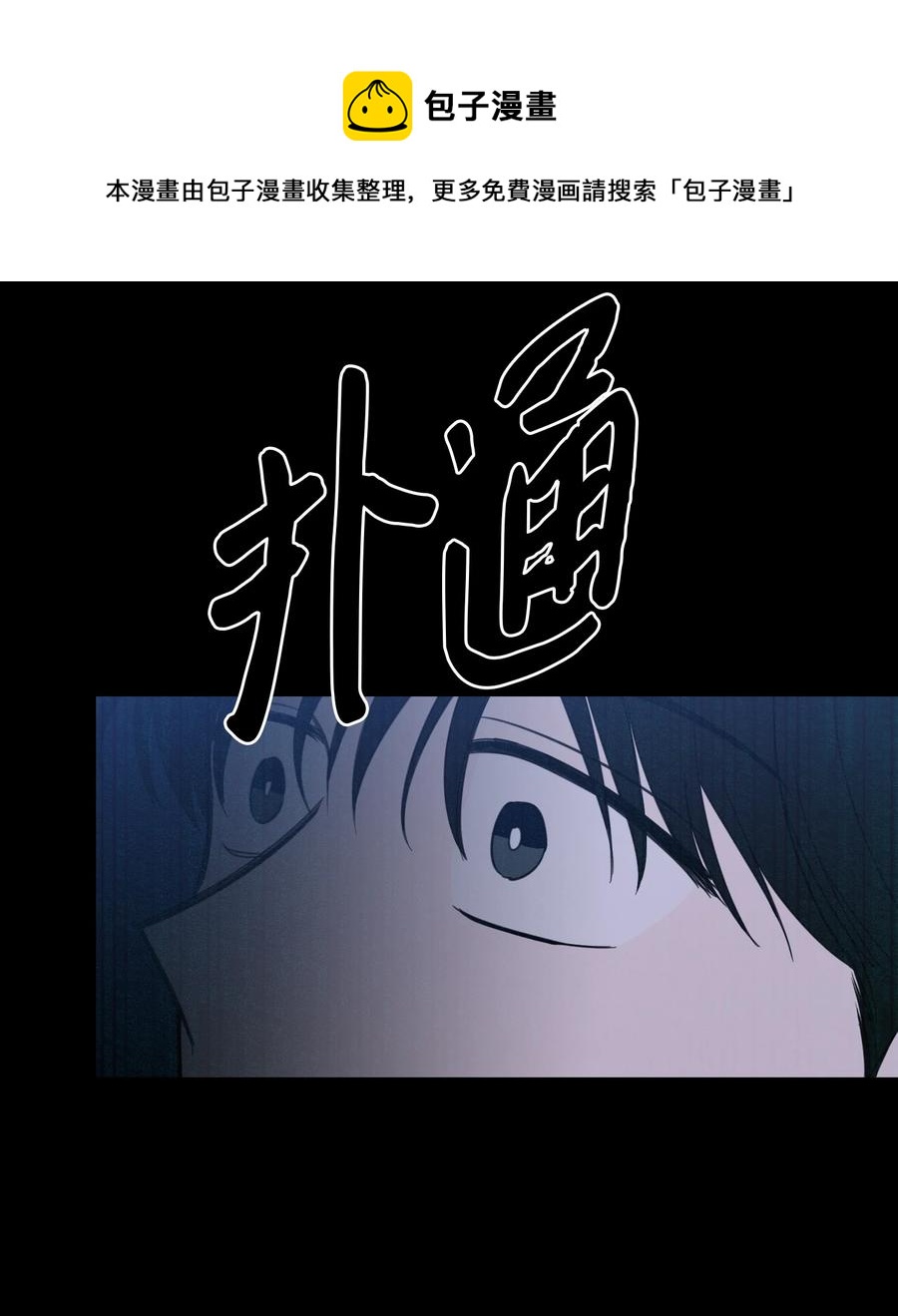 49 狐狸44