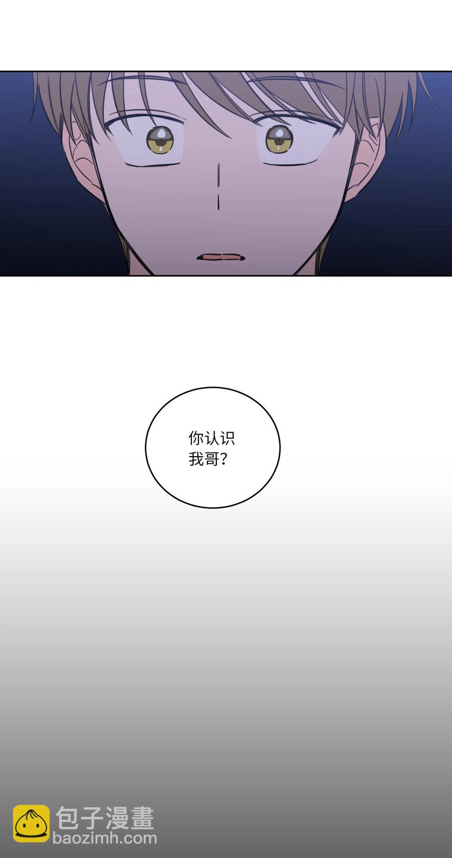 49 狐狸6
