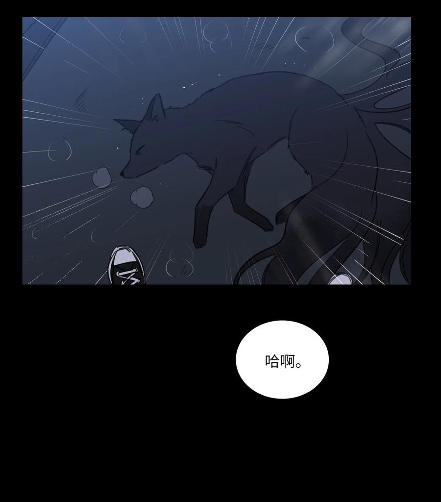 49 狐狸9