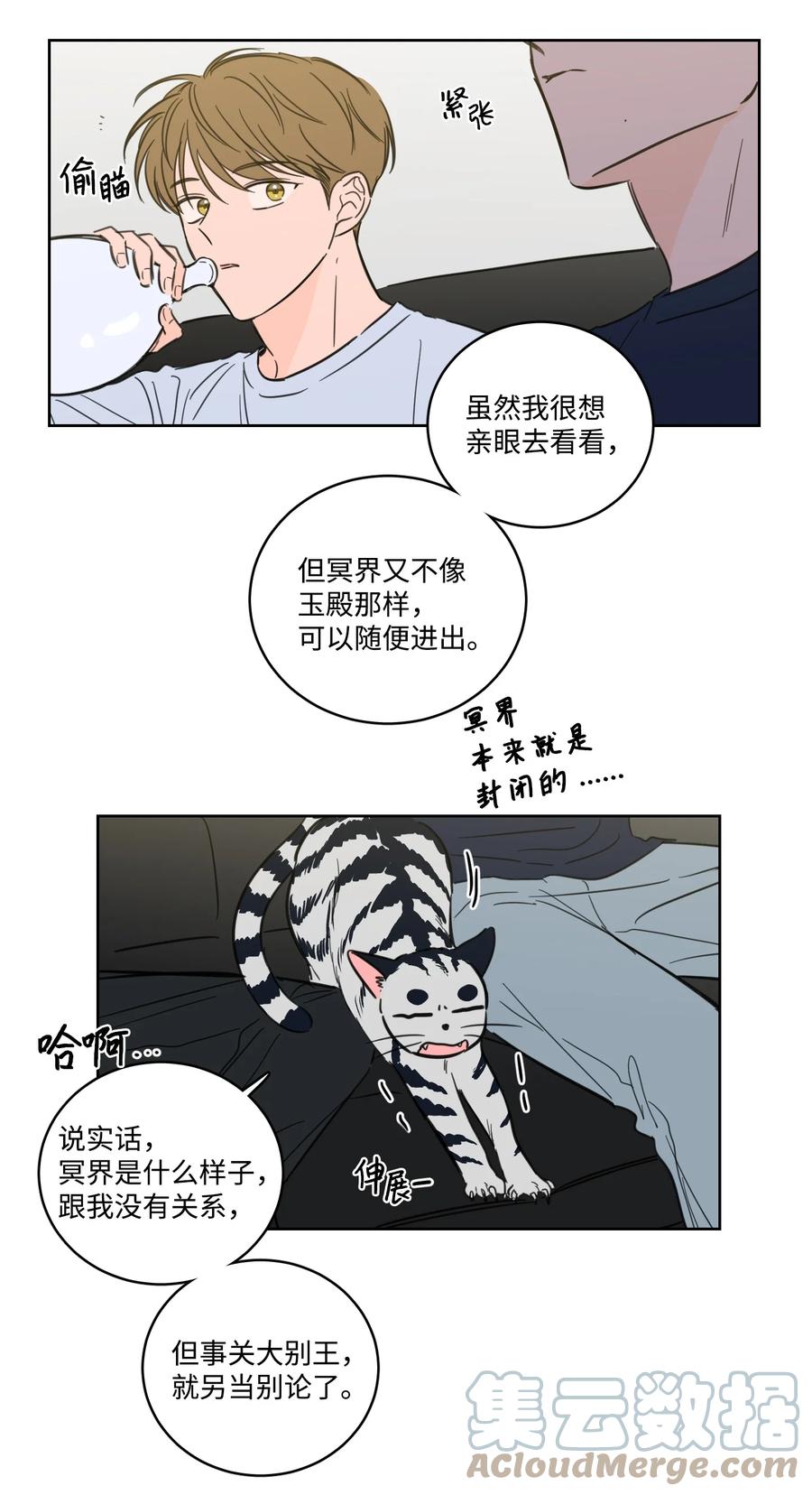 64 兄弟之花3